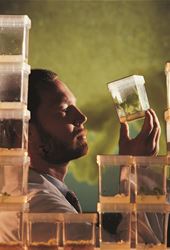 AgBiotech News and Information